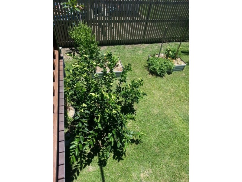 46 Odonnell Street, Oonoonba QLD 4811