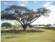 60 Monolith Circuit, Mount Louisa QLD 4814
