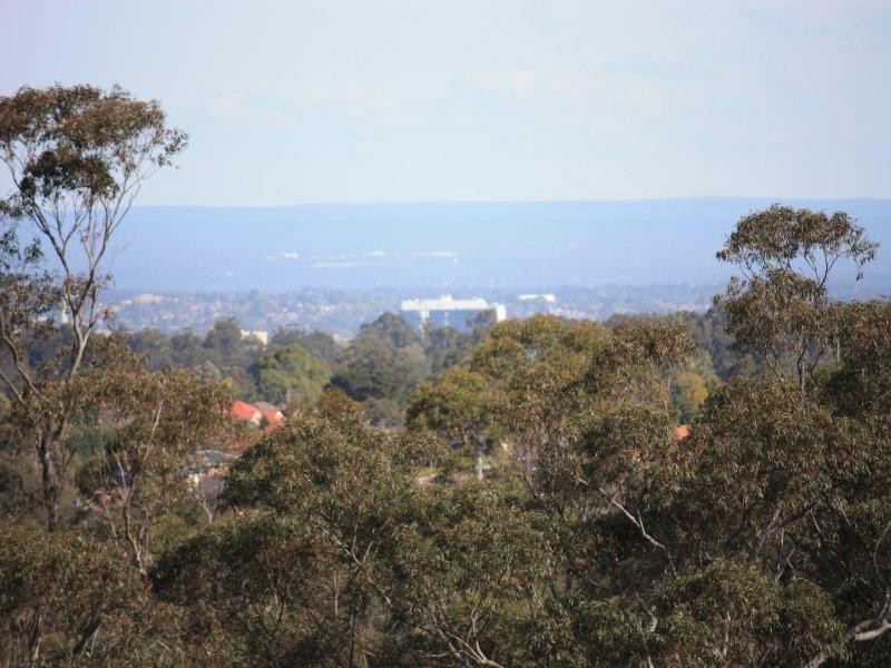 29 Doris Hirst Place, West Pennant Hills NSW 2125