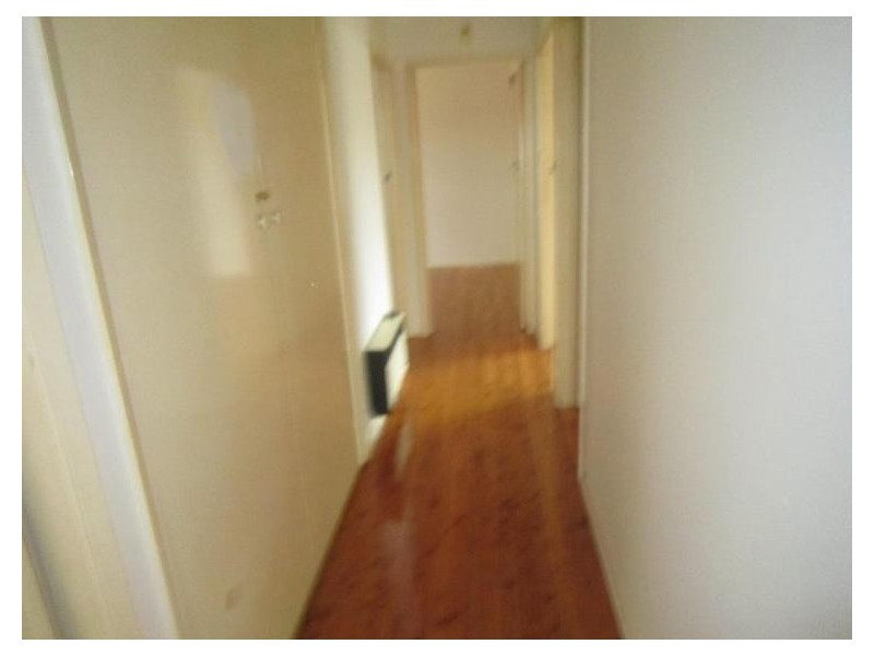 73 Beresford Road, Greystanes NSW 2145