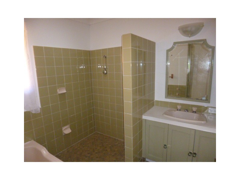 19 Nemesia Street, Greystanes NSW 2145