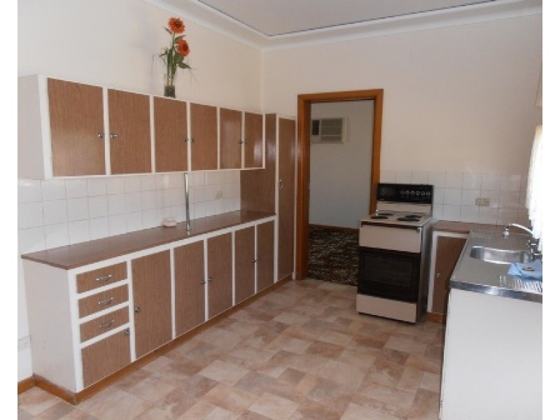 10 Greenleaf Street, Constitution Hill NSW 2145