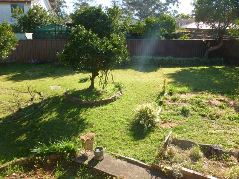 141 Darcy Rd, Wentworthville NSW 2145