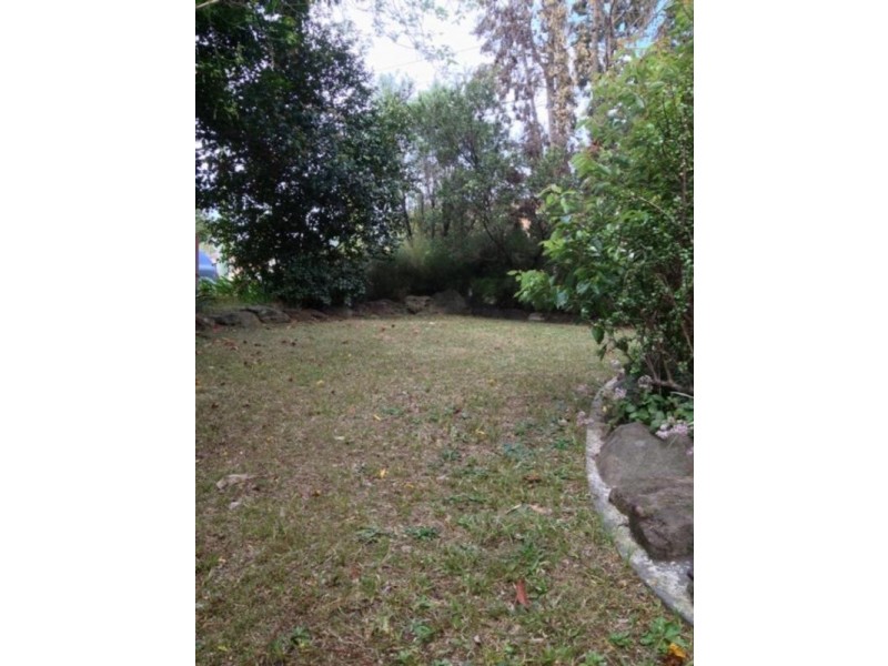 16 Pioneer Street, Wentworthville NSW 2145