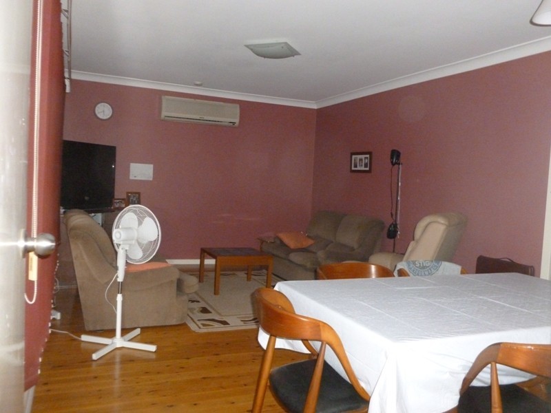 20 Orleans Cres, Toongabbie NSW 2146