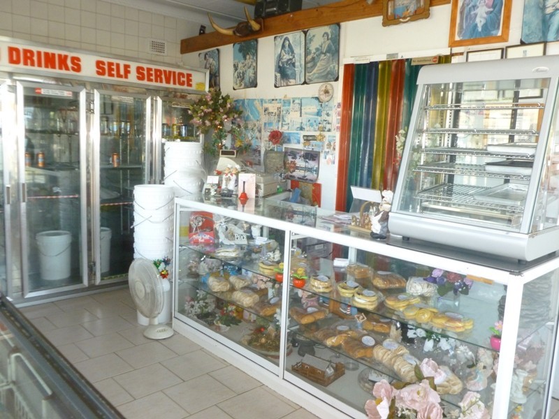 33 Irrigation Rd, South Wentworthville NSW 2145