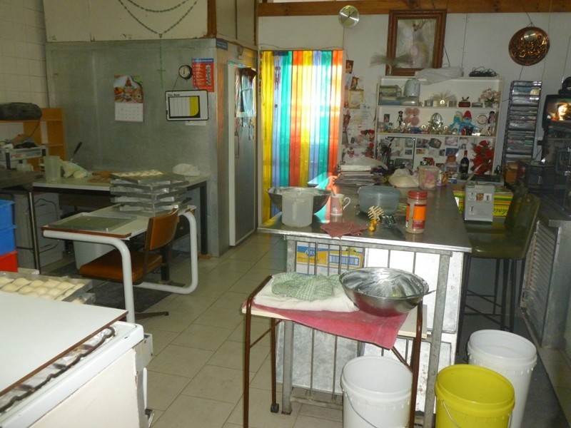 33 Irrigation Rd, South Wentworthville NSW 2145
