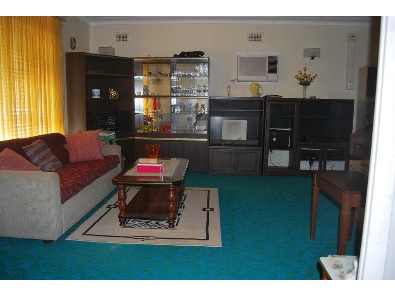 9 Elfrieda St, Old Toongabbie NSW 2146