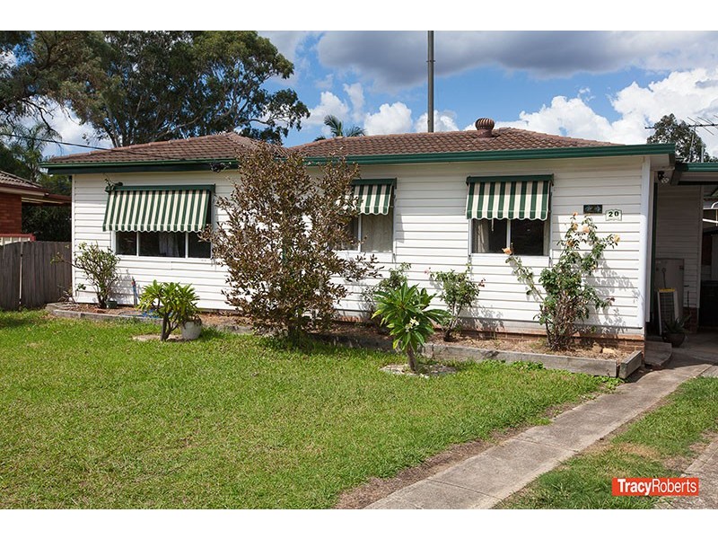 20 Ancona Ave, Toongabbie NSW 2146