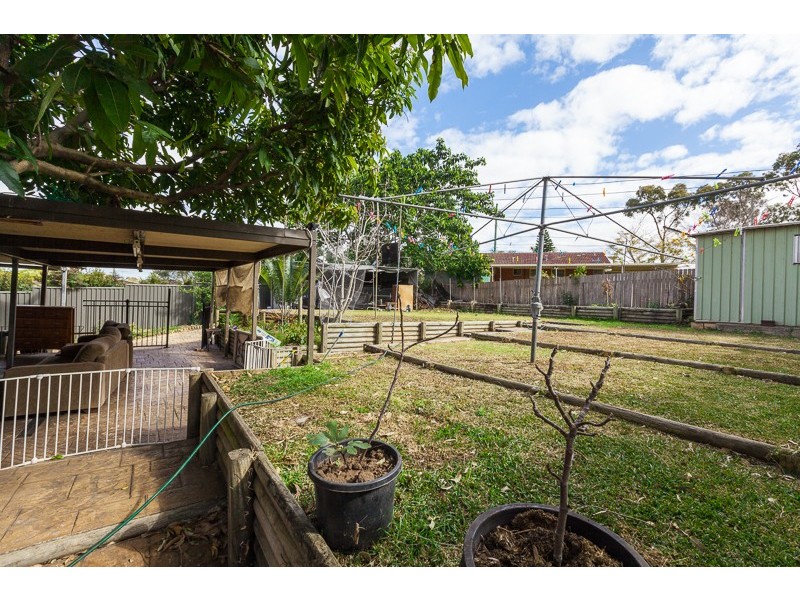 12 Orleans Cres, Toongabbie NSW 2146