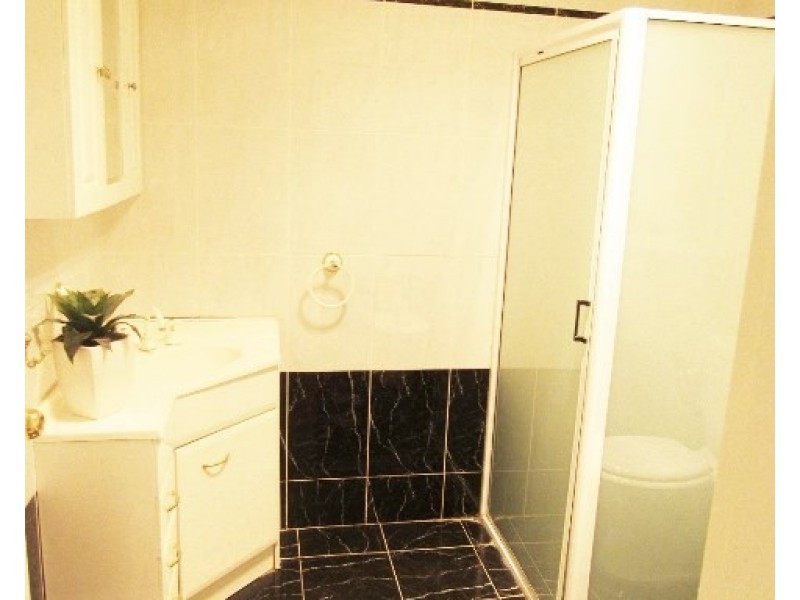 199 Robertson Street, Guildford NSW 2161