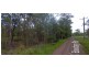 56 Boundary Rd, Medowie NSW 2318