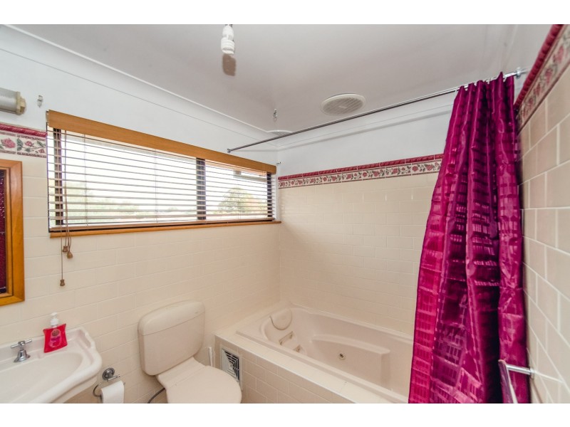 22 Bulli Road, Toongabbie NSW 2146