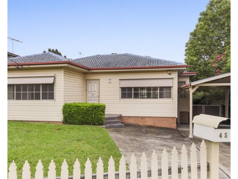 45 Mount Street, Wentworthville NSW 2145