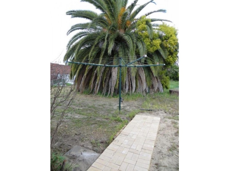 52 Blythe Avenue, Yokine WA 6060