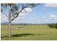 Lot 50 Irwin Road, Cedar Grove QLD 4285