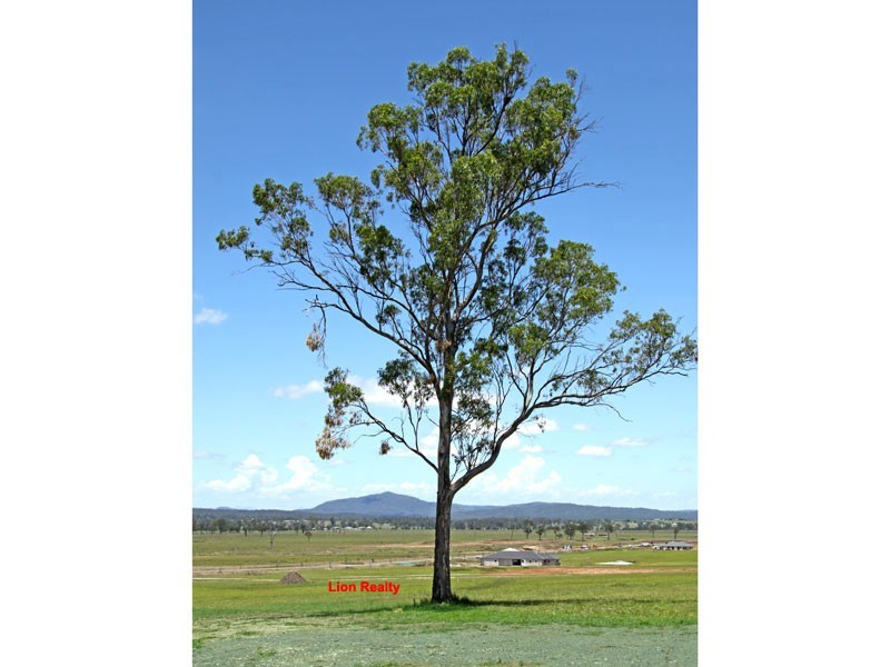 Lot 50 Irwin Road, Cedar Grove QLD 4285