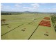 Lot 50 Irwin Road, Cedar Grove QLD 4285