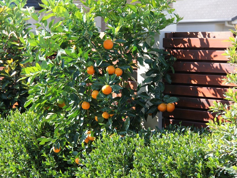 10 Torrevella Vista, Coombabah QLD 4216