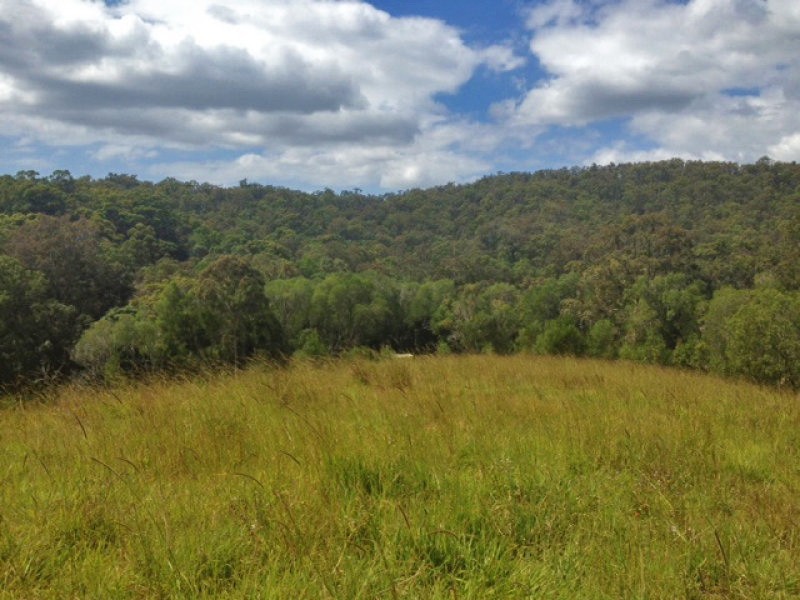 Willow Vale QLD 4209