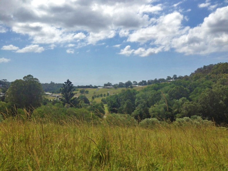 Willow Vale QLD 4209