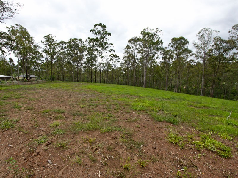 Veresdale Scrub QLD 4285
