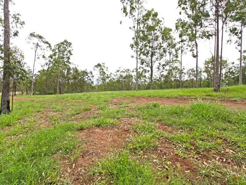 Veresdale Scrub QLD 4285