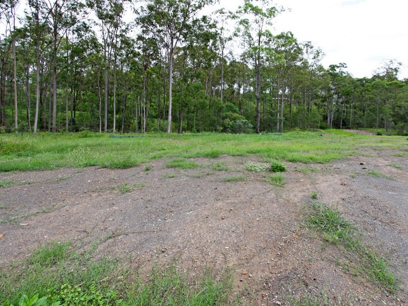 Veresdale Scrub QLD 4285
