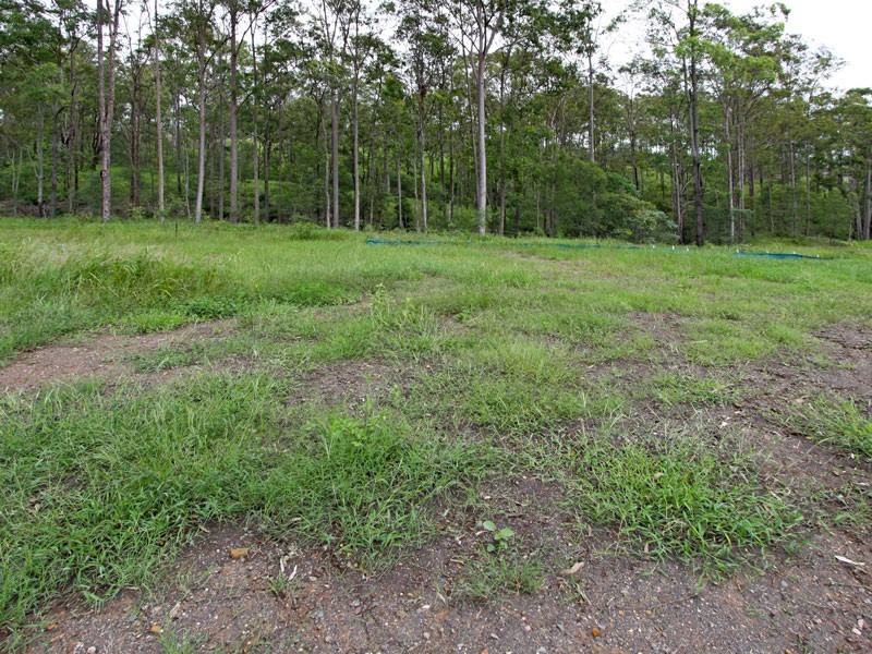 Veresdale Scrub QLD 4285