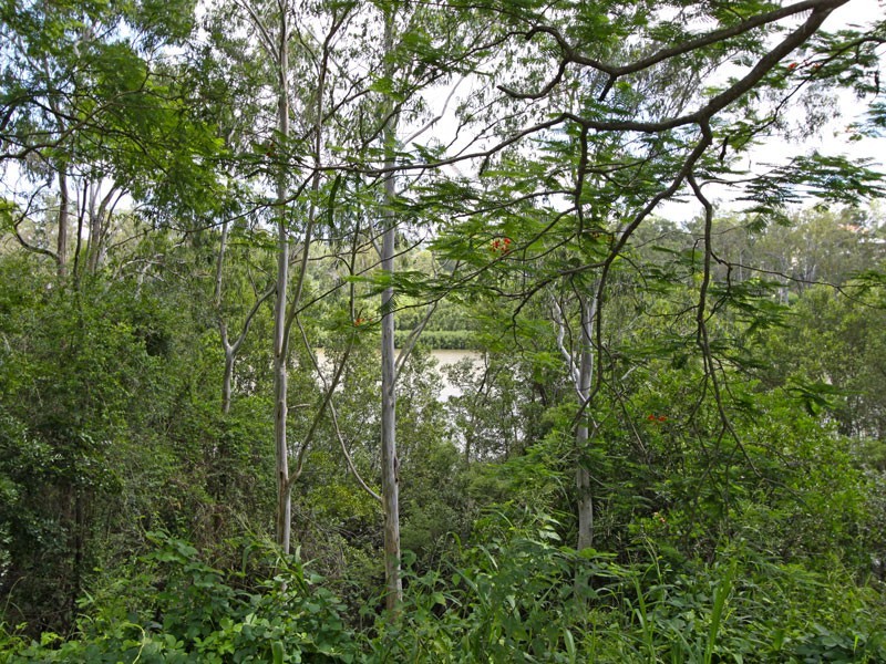 14 Mount Ommaney Drive, Jindalee QLD 4074