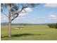 139 Irwin Road, Cedar Grove QLD 4285