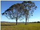 139 Irwin Road, Cedar Grove QLD 4285