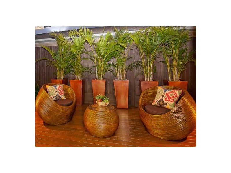 31 Casuarina Circuit, Heathwood QLD 4110