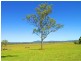 Cedar Grove QLD 4285