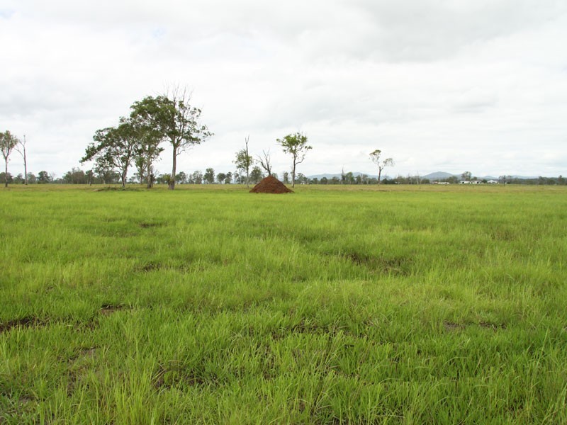 Lot 24 Irwin Road, Cedar Grove QLD 4285