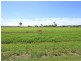Lot 30 Irwin Road, Cedar Grove QLD 4285