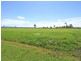 Lot 30 Irwin Road, Cedar Grove QLD 4285