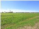 Lot 31 Irwin Road, Cedar Grove QLD 4285