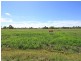 Lot 33 Irwin Road, Cedar Grove QLD 4285