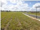 Yamanto QLD 4305