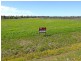 29 Irwin Road, Cedar Grove QLD 4285