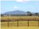 Lot 40. Irwin Road, Cedar Grove QLD 4285