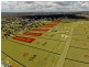 Lot 40. Irwin Road, Cedar Grove QLD 4285
