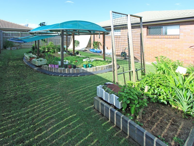 36 Finetti Circuit, Durack QLD 4077