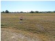 Cedar Grove QLD 4285