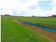 Thornlands QLD 4164