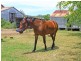 78 Zabels Road North, Minden QLD 4311
