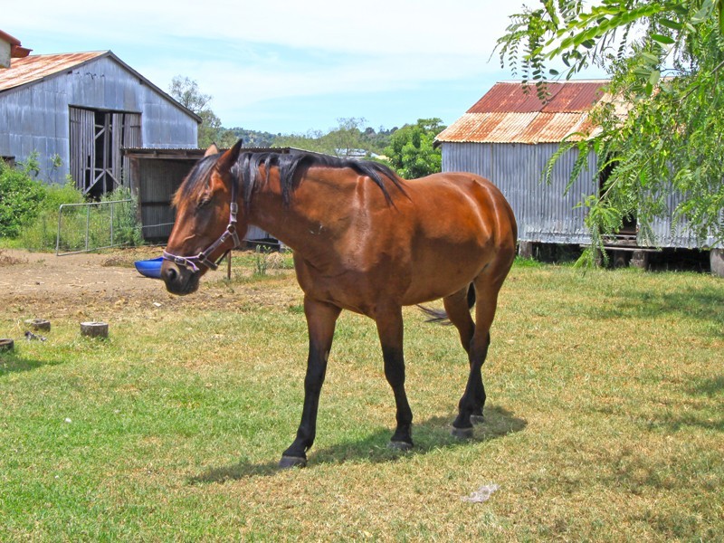 78 Zabels Road North, Minden QLD 4311