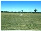 Cedar Grove QLD 4285
