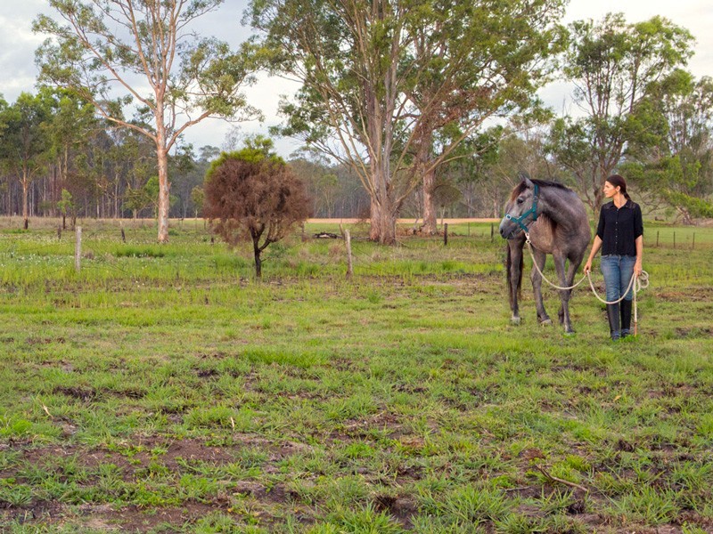 South Maclean QLD 4280